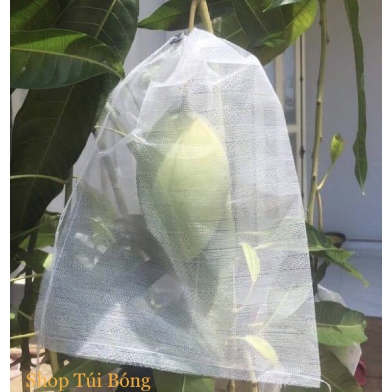 100 bao túi bọc xoài bằng vải không dệt, có dây rút kích thước 22x30cm